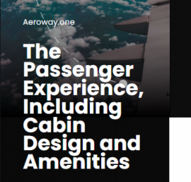 The Passenger Experience, Including Cabin Design and Amenities