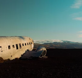 The Adventurous Tales of Animals in Aviation History