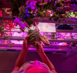 Space Farms: Growing Food on Mars and Beyond
