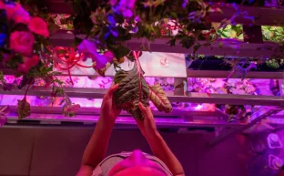 Space Farms: Growing Food on Mars and Beyond
