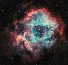 The Different Types of Stars and What Makes Them Unique