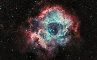 The Different Types of Stars and What Makes Them Unique