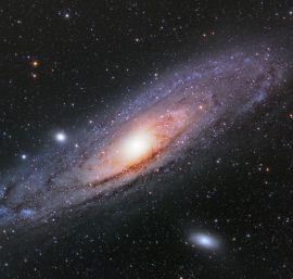 The Role of Gravity in Shaping Galaxies