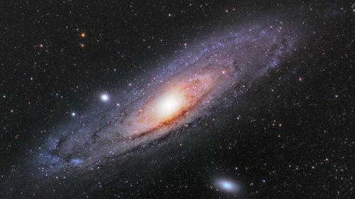 The Role of Gravity in Shaping Galaxies